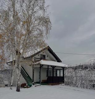 Villa Buena - Despotovac - 8