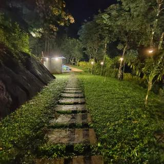 Warmlite Resort - Meppādi - 7