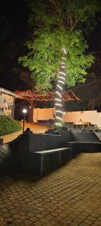 Warmlite Resort - Meppādi - 6