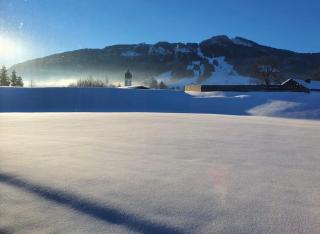 FeWo Froschkönig mit Sauna, GRATIS Skifahren dank Königscard, Bergblick, WLAN, Parkplatz - Nesselwang - 8