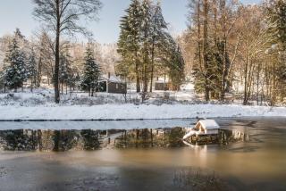 4 Personen mit Sauna F0H1 - Ruhla - 9
