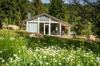 4 Personen mit Sauna F4H0 - Ruhla - 8