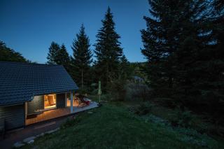 4 Personen mit Sauna F0H3 - Ruhla - 2