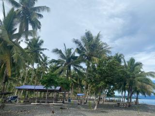 Palm Creek Resort - 1