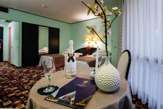 Hotel Mara - Sinaia - 1
