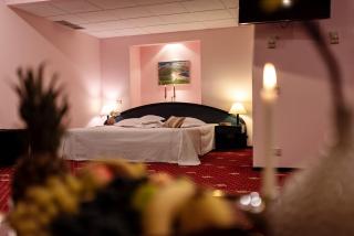 Hotel Mara - Sinaia - 8