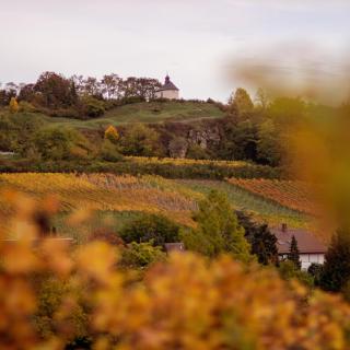 Im Rebennest - 3,5 ZKB mit Terasse und Garten an den Weinbergen - 6