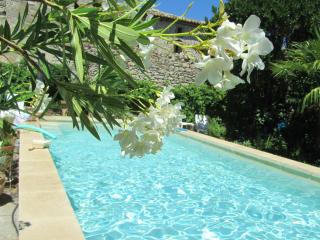 MAS PROVENCAL DU 18ème proche UZES - Belvézet - 3