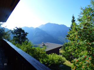 chalet à Orcieres merlette pour 10 - Orcières - 6