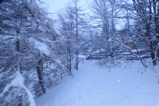 chalet à Orcieres merlette pour 10 - Orcières - 7
