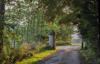 Hawkwood - 1