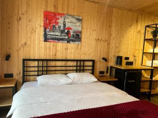 Hotel Eurica - Kutaisi - 1