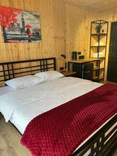Hotel Eurica - Kutaisi - 4