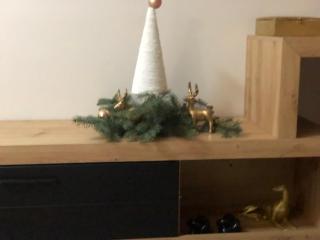 Apartments Dunja - 3