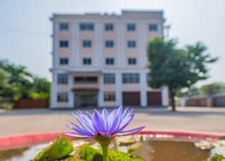 Lotus Leaf - 6