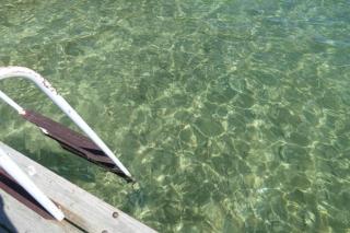 Lakeside Cottage on Torch Lake - 2