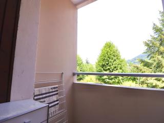 Appartement cosy à 5min du lac Albigny, proche commerces, parking inclus, animaux admis - FR-1-432-17 - Annecy - 2