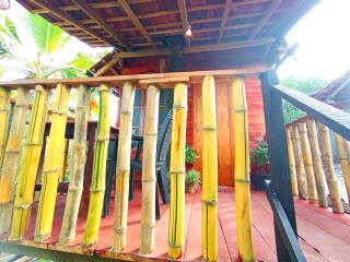 Parrot Tree House - 4
