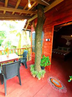 Parrot Tree House - 1