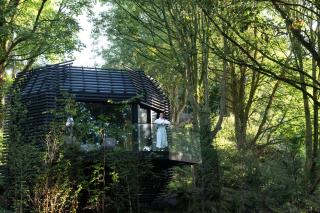 The Woodland Suite Experience at the Montenotte - Cork - 3