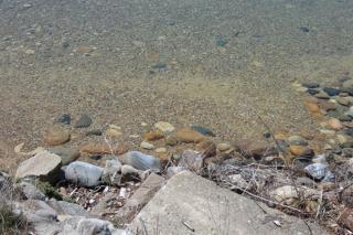 South Cottage on Torch Lake - 4