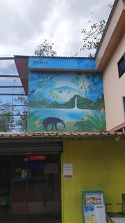 Pocho's Place Rio Celeste - - 0