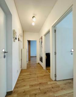 Surya - Belgrado - 5