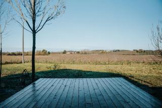 Rêve de Vignes - Au cœur des vignes, votre parenthèse bien-être - 6