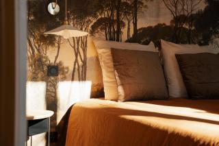 Rêve de Vignes - Au cœur des vignes, votre parenthèse bien-être - 1