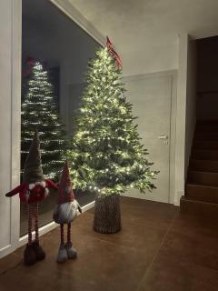 LA ROSA DEL SILE - 9