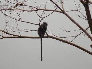 Songota Falls Lodge - 1