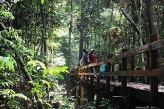 Apartamento Laranja Matão - 3