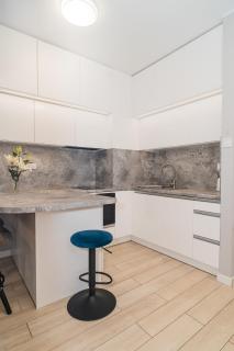 TOTU HOME Pszenna 5 Apartment SPA&Wellness - Danzig - 3