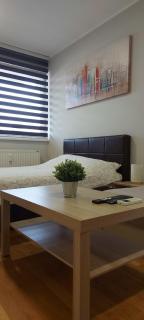 Apartman IDEA - Zrenjanin - 0