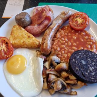 Trevarrian Lodge - Newquay - 9