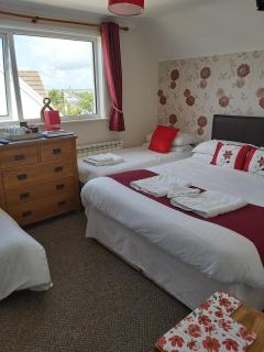 Trevarrian Lodge - Newquay - 2