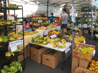 Classic Hawaiian Oceanfront Condo with Top Location - Hale Kona Kai 413 by Casago Kona - 3