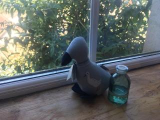 Driftwood Loft - Killyleagh - 5