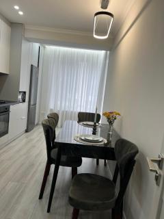 1008 Apartment с living Кишинев Центр - Chişinău - 1