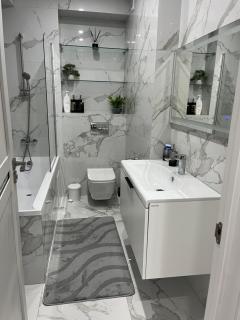 1008 Apartment с living Кишинев Центр - Chişinău - 2