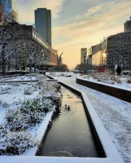 Amazing Studio Paris La Défense - Courbevoie - 7