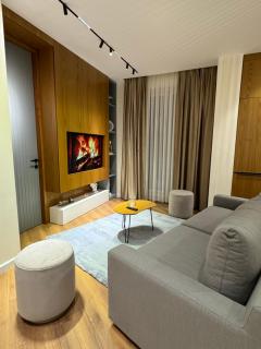 Splendid Apartment Tirana - Tirana - 0