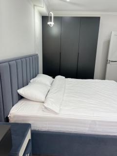 1109 Apartment с living Кишинёв Центр - Chişinău - 2