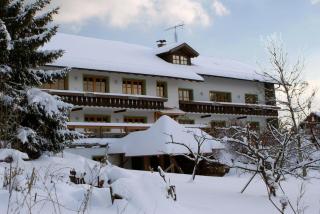 Pension Landhaus Riedelstein - Drachselsried - 4
