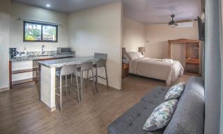 Hotel Lavas Tacotal - Fortuna - 3