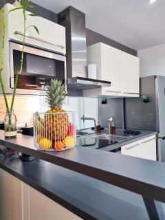 Bel appartement T3 - Climatisation- Terrasse- proche Nice et Monaco - 1