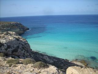 ROSA del SUD - Lampedusa - 9