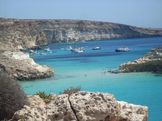 ROSA del SUD - Lampedusa - 7