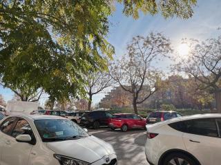 Hostel Las Rosas - 4