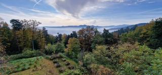 La Villa du Parc - Alsace & Vosges - 2
